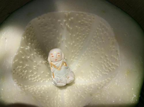 52276911_2242432382751102_1516760394843029504_n